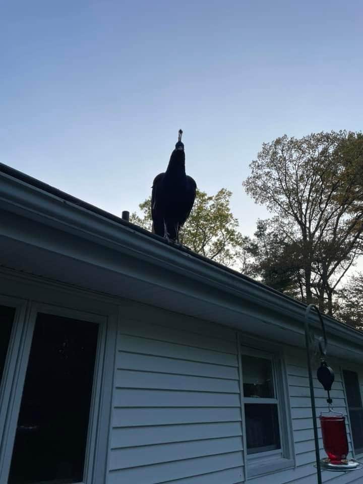 Camper-submitted photo at Purgatory Valley Farm near Westborough, MA