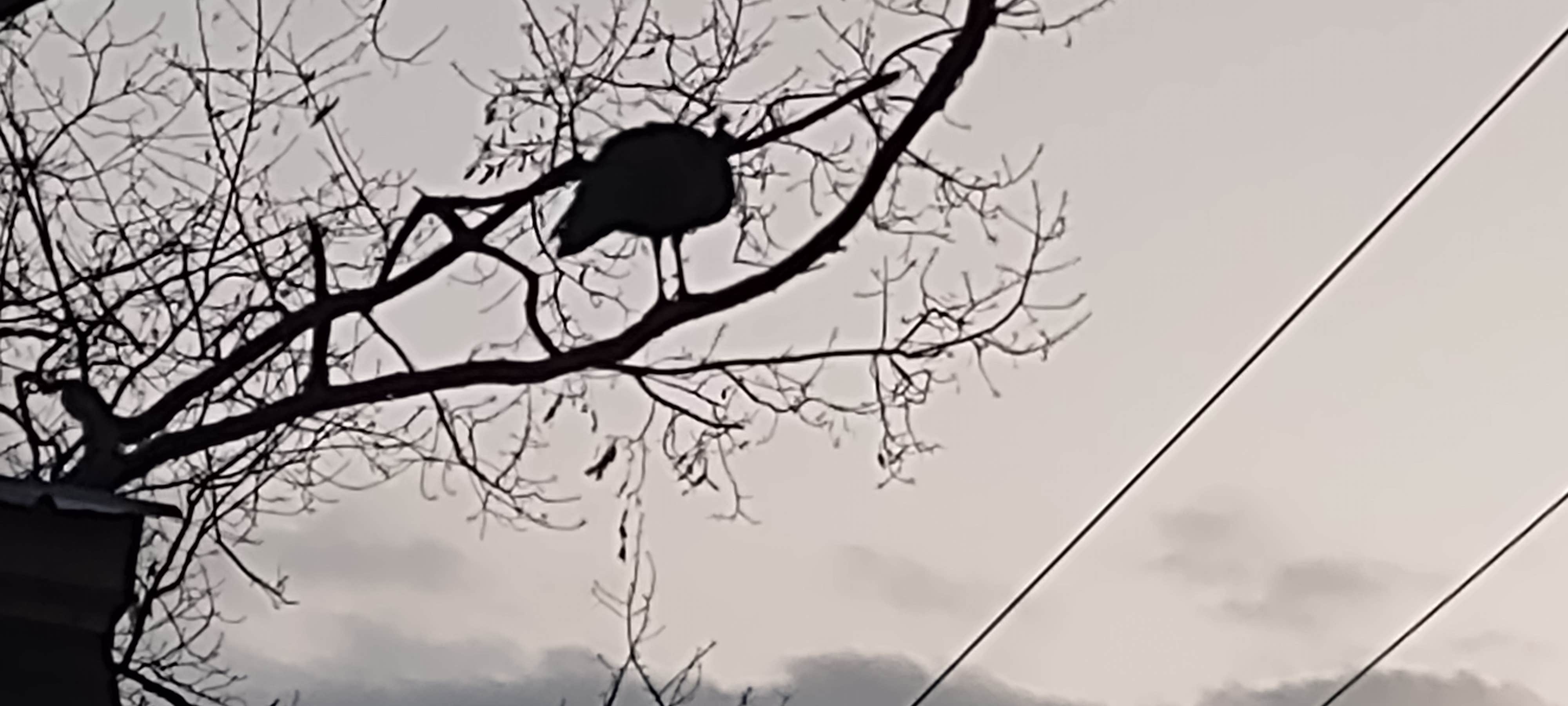 Camper-submitted photo at Purgatory Valley Farm near Westborough, MA