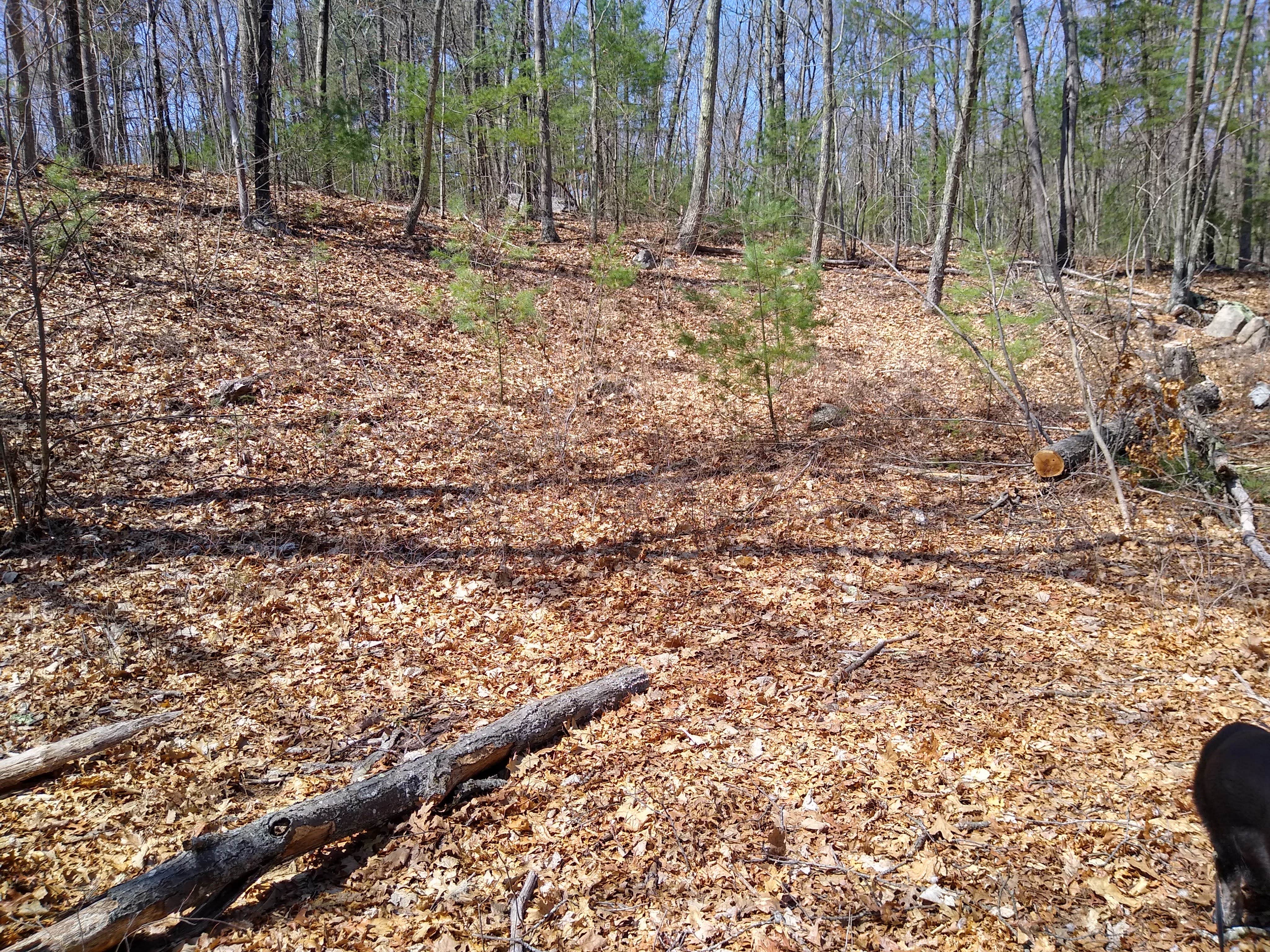 Lukas I.'s photo of camping with pets at Purgatory Valley Farm near Westville Lake