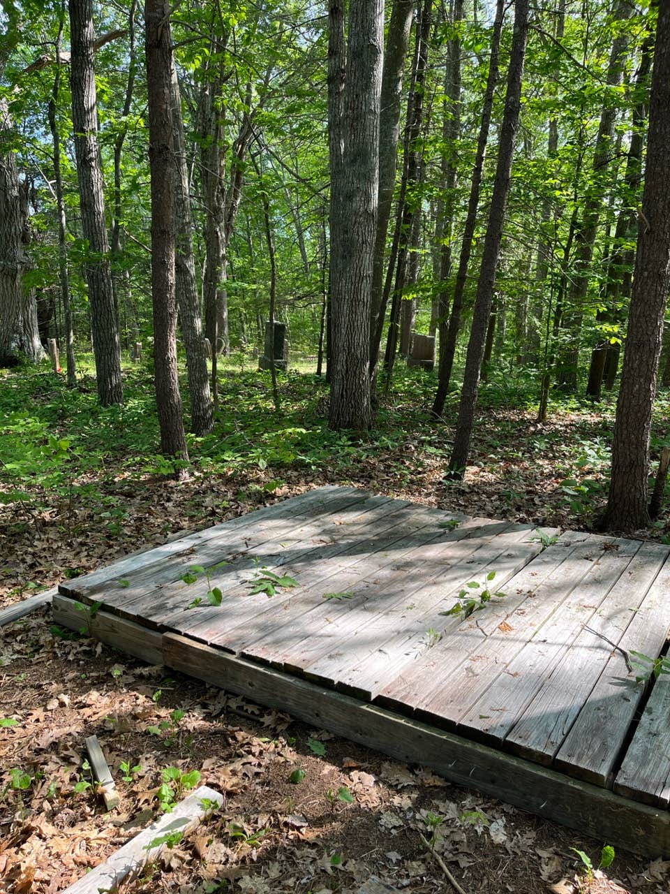 Camper-submitted photo at Rainbow Koala Farm near Bath, ME