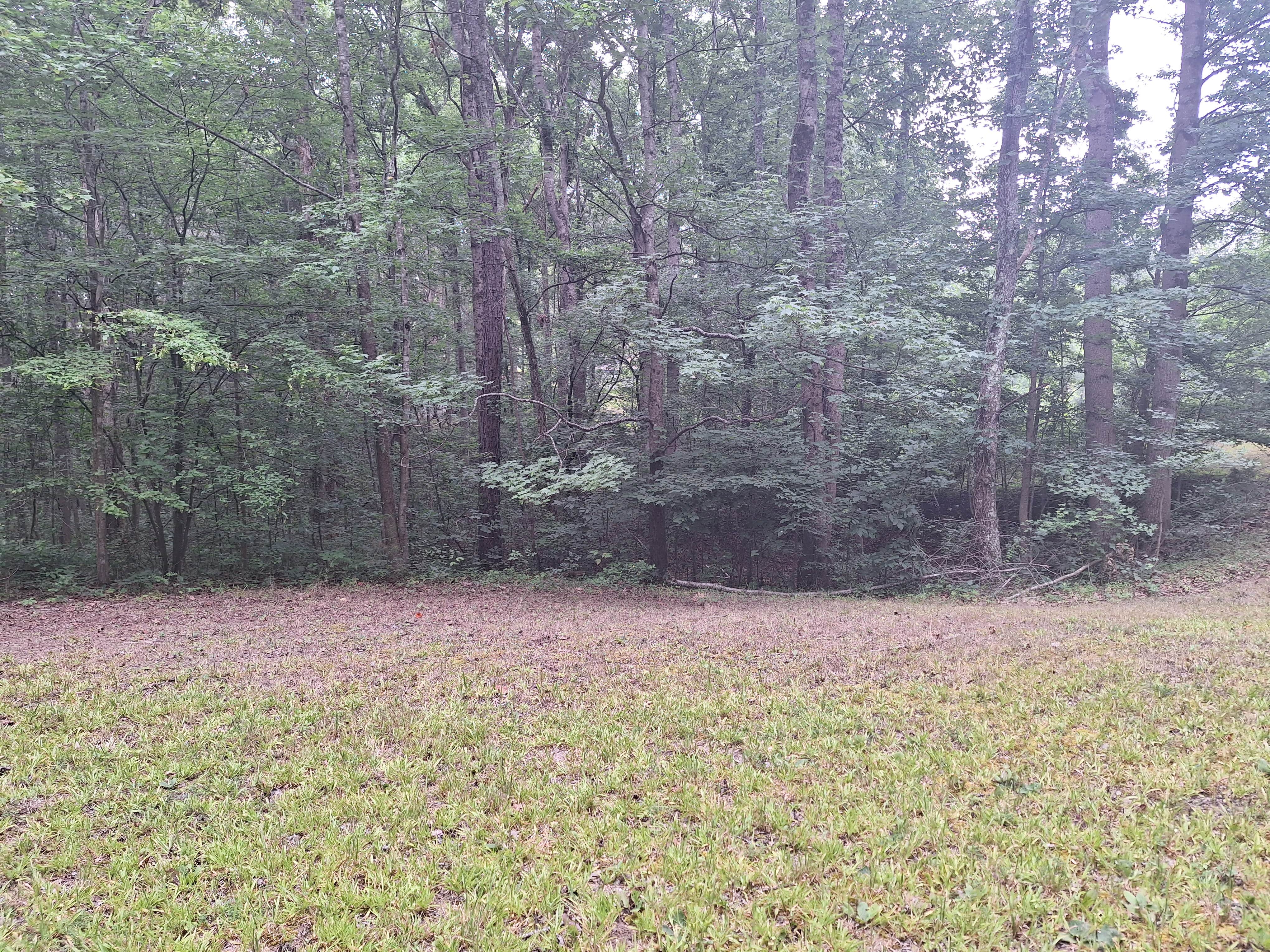 Camper-submitted photo at Santa's Woods near Dresden, TN