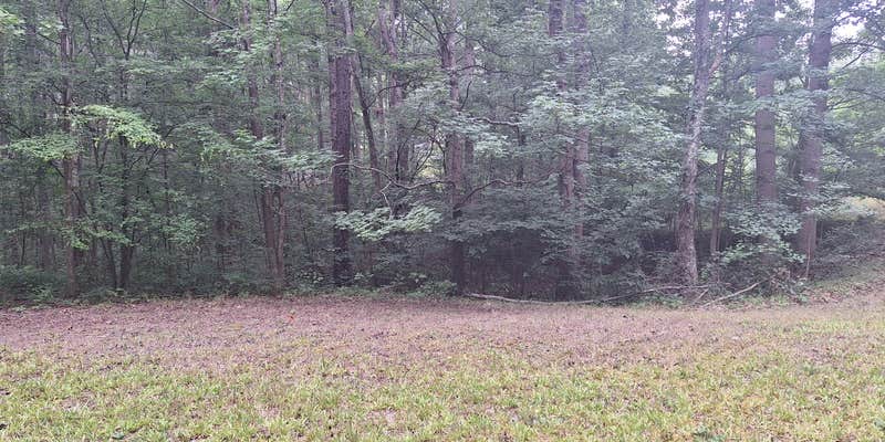 Camper submitted image from Santa's Woods