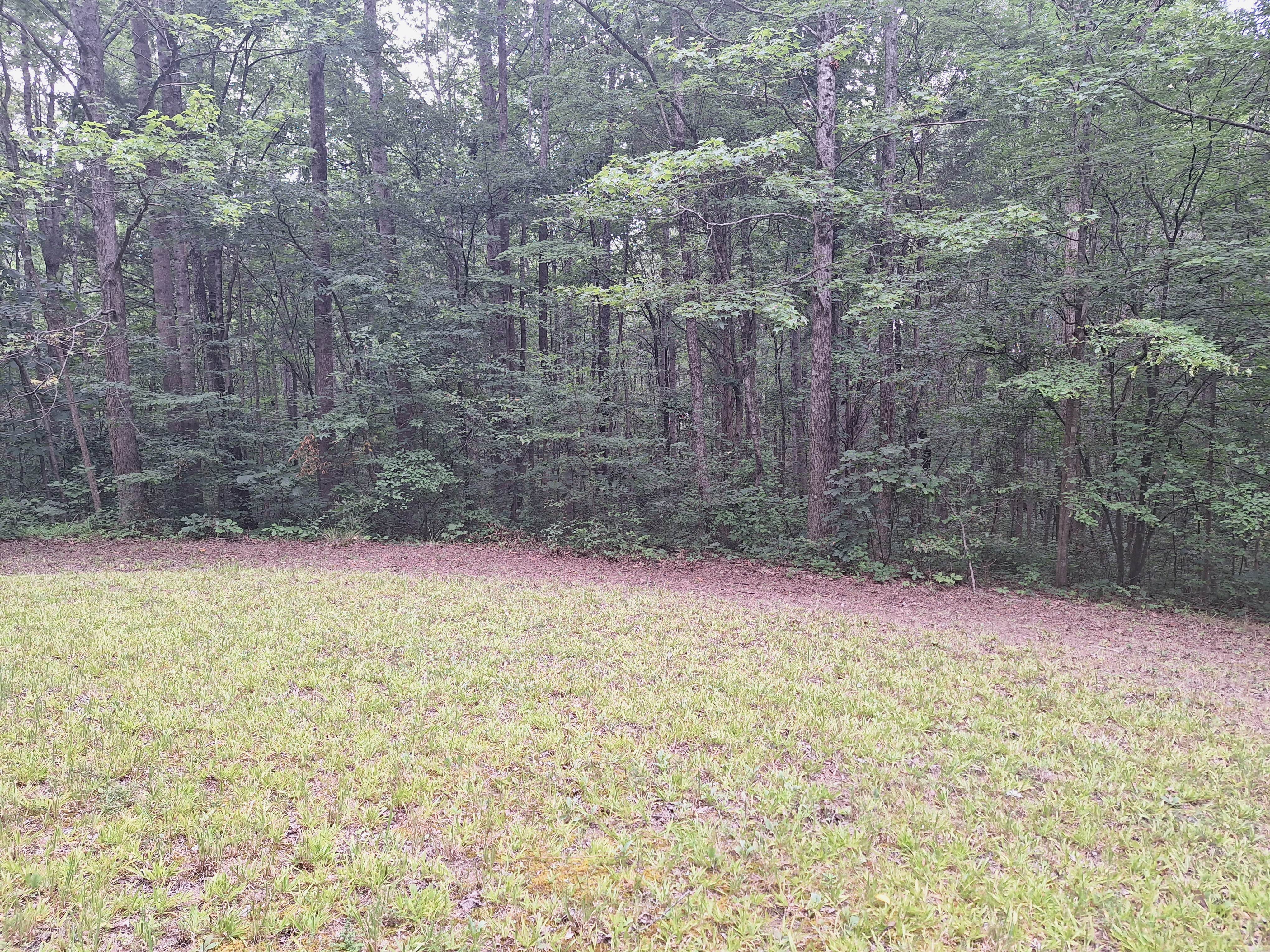 Camper-submitted photo at Santa's Woods near Dresden, TN