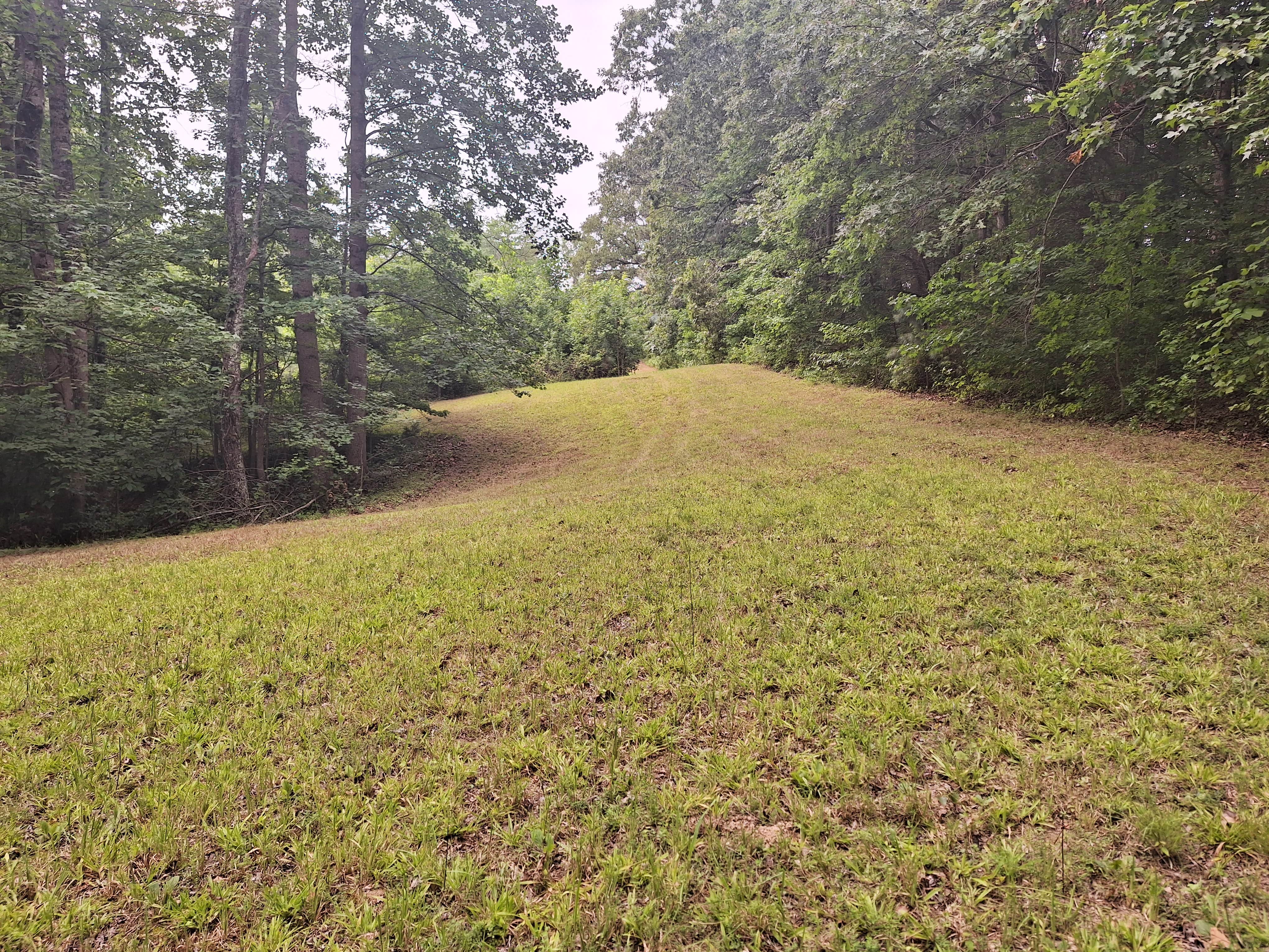 Camper-submitted photo at Santa's Woods near Dresden, TN