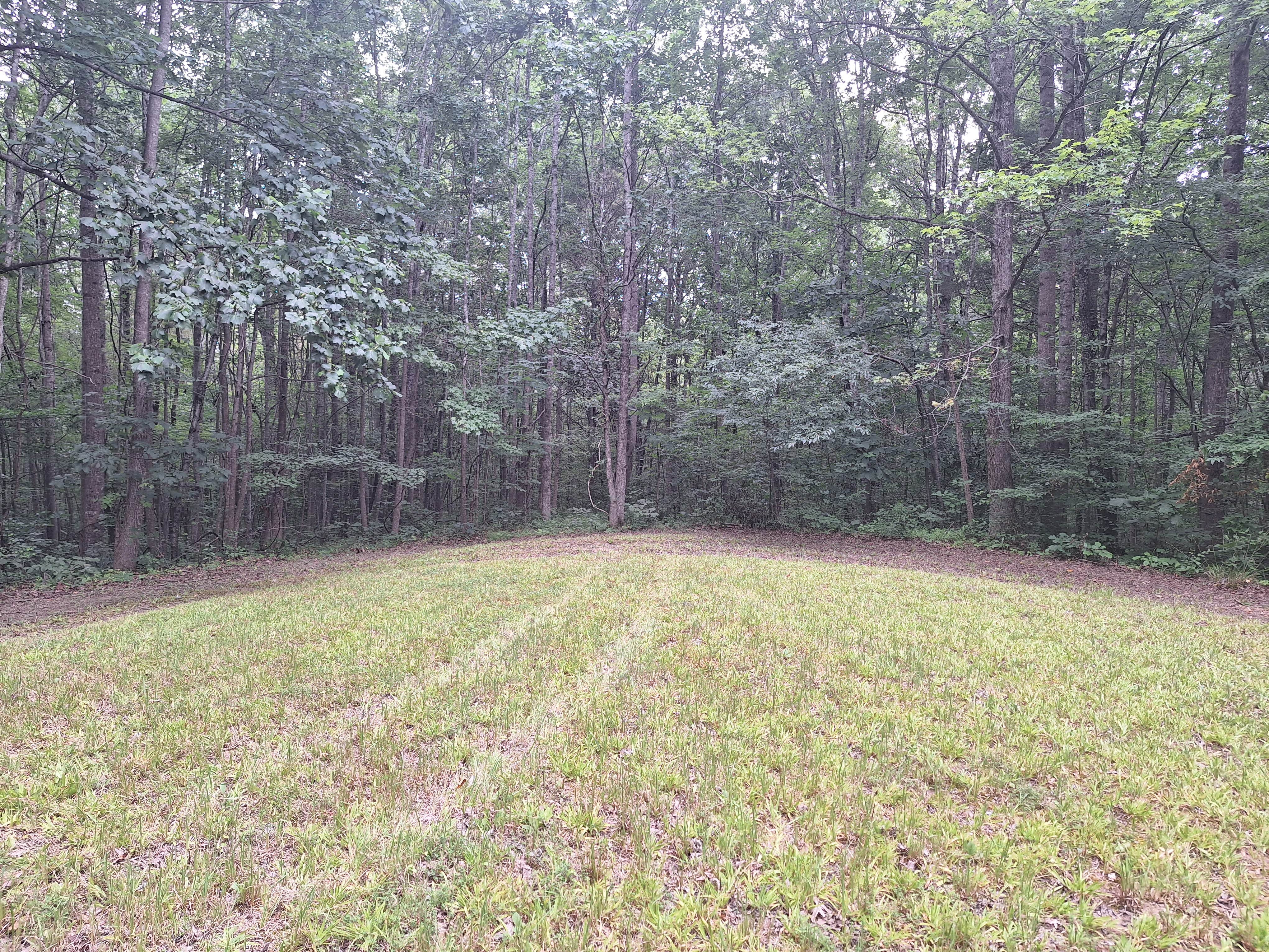 Camper-submitted photo at Santa's Woods near Dresden, TN