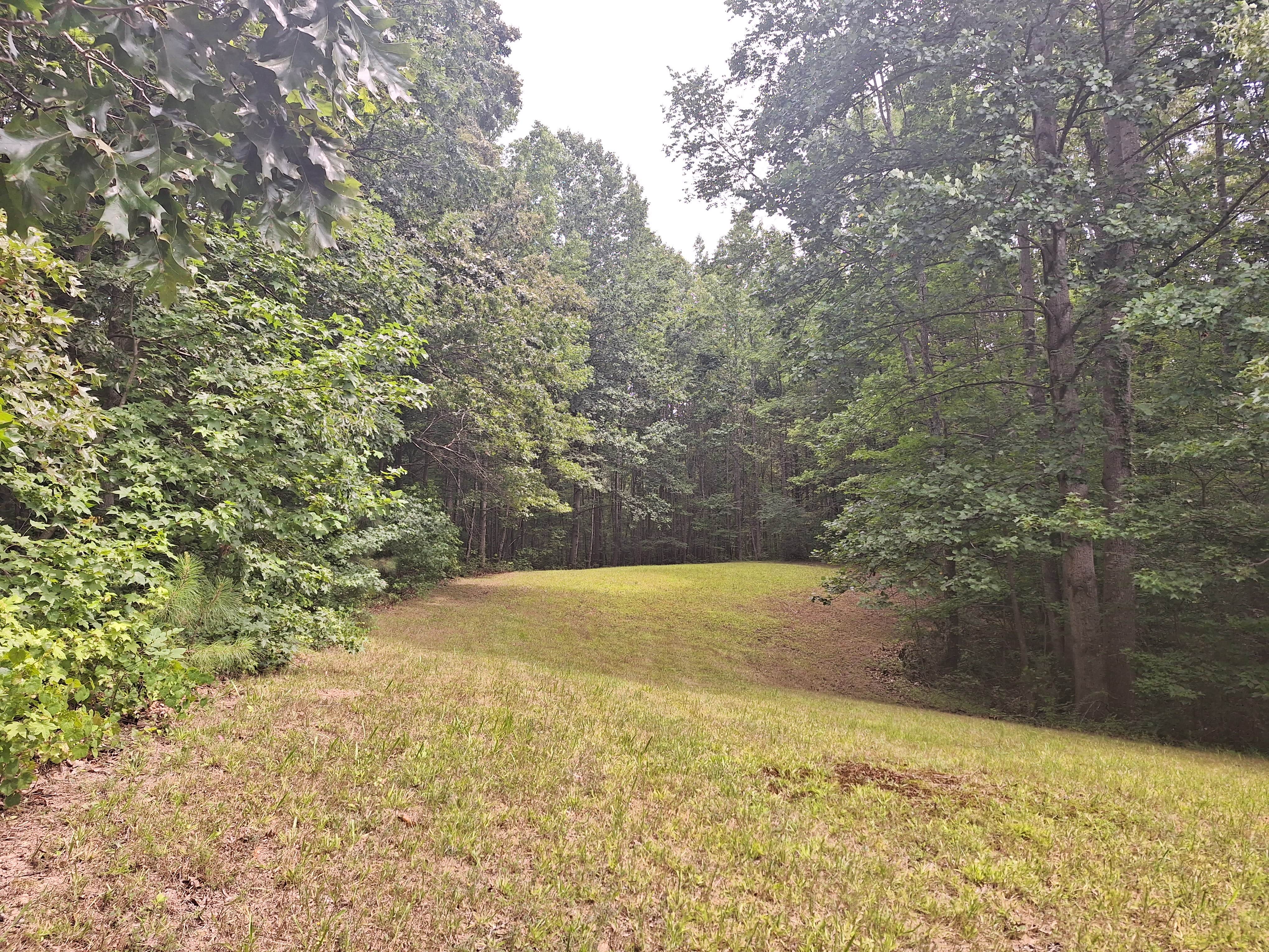 Camper-submitted photo at Santa's Woods near Dresden, TN