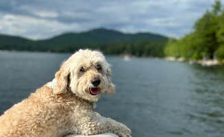Catherine M.'s photo of camping with pets at Lake Hadlock Inn, Beach and Campground near Lake Luzerne, NY