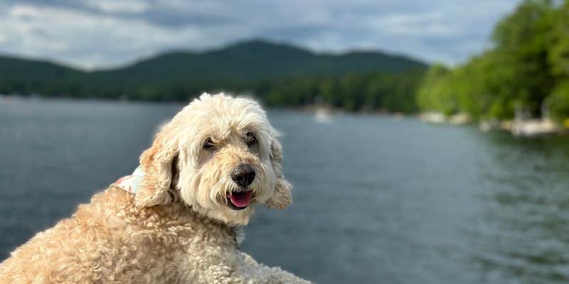 Camper submitted image from Lake Hadlock Inn, Beach and Campground