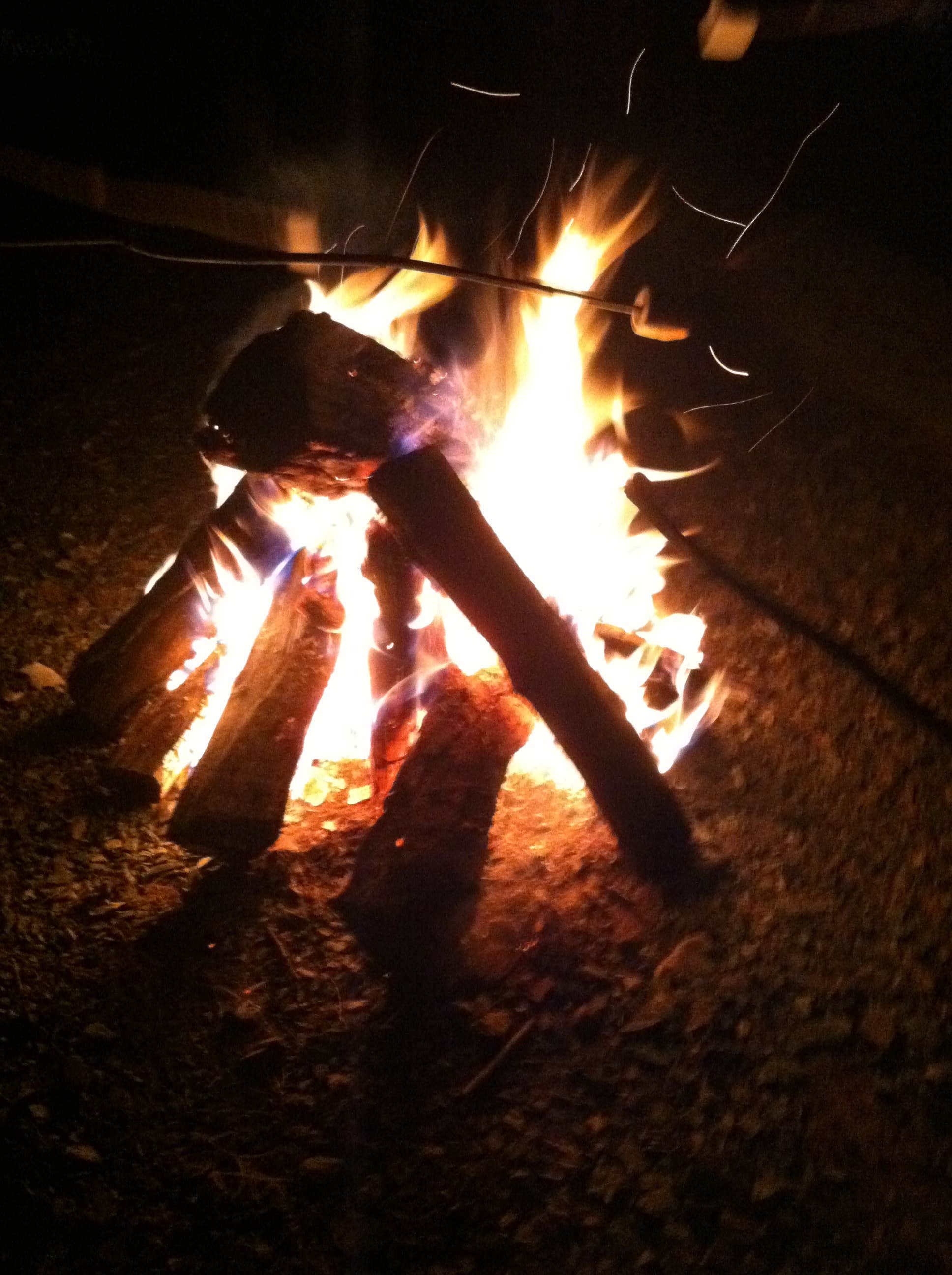 Sam M.'s photo at Small Country Campground near Goochland, VA