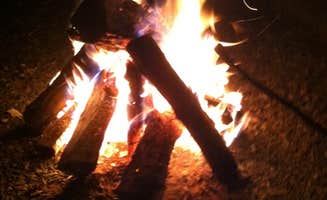 Sam M.'s photo at Small Country Campground near Norwood, VA