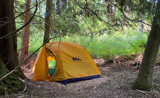 Arehn M.'s photo at Marmot House Old Growth Forest near Brightwood, OR