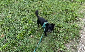 Pam & Steve S.'s photo of camping with pets at U.S. Space & Rocket Center RV Park - PERMANENTLY CLOSED near Decatur, AL