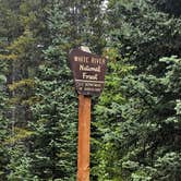 Review photo of Boreas Pass Road Designated Dispersed Camping by Amy C., July 19, 2023