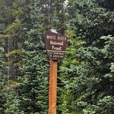 Review photo of Boreas Pass Road Designated Dispersed Camping by Amy C., July 19, 2023