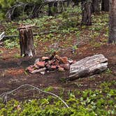 Review photo of Boreas Pass Road Designated Dispersed Camping by Amy C., July 19, 2023