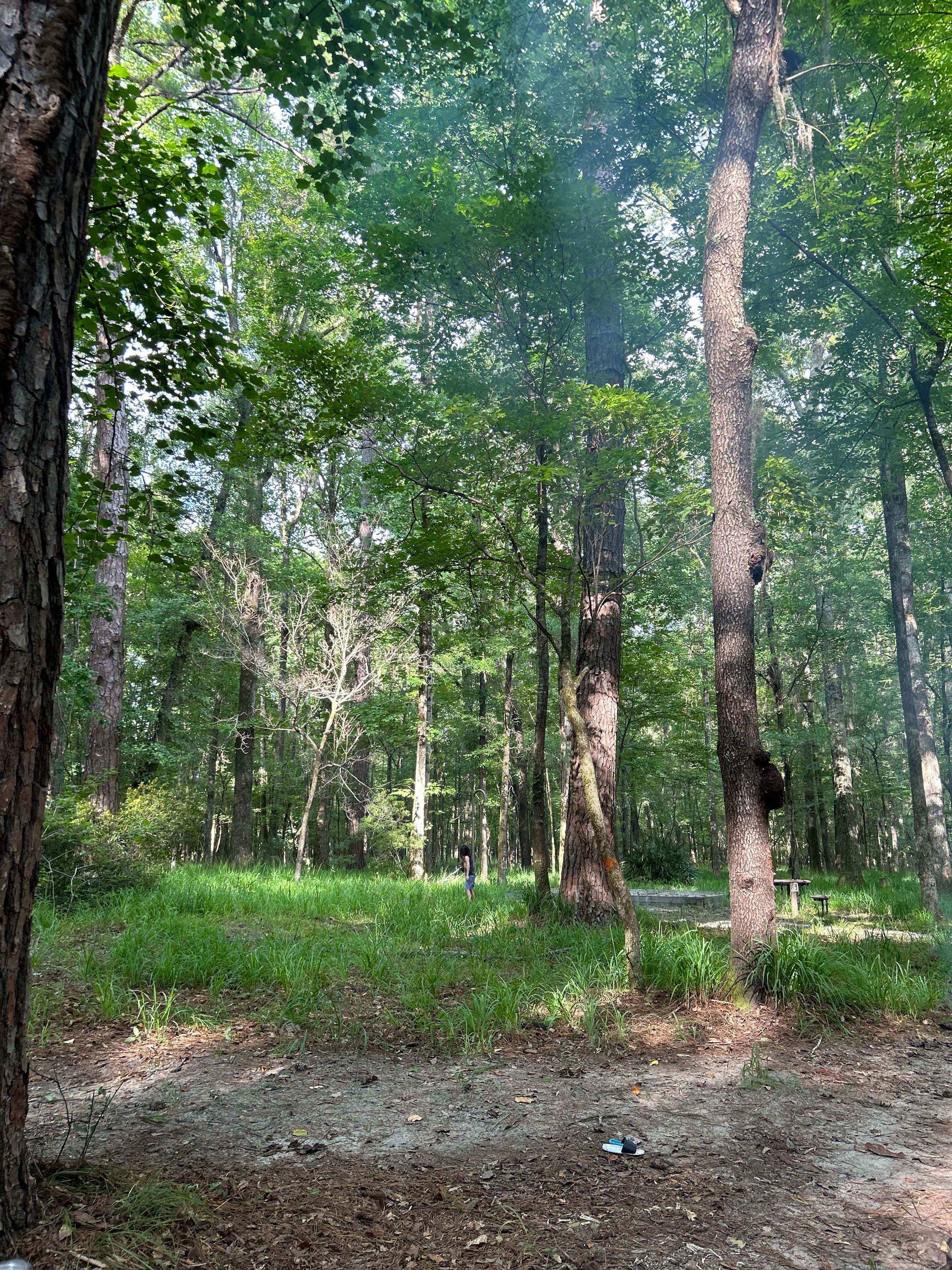 Camper-submitted photo at Military Park Fort Benning Uchee Creek Army Campground and Marina near Opelika, AL