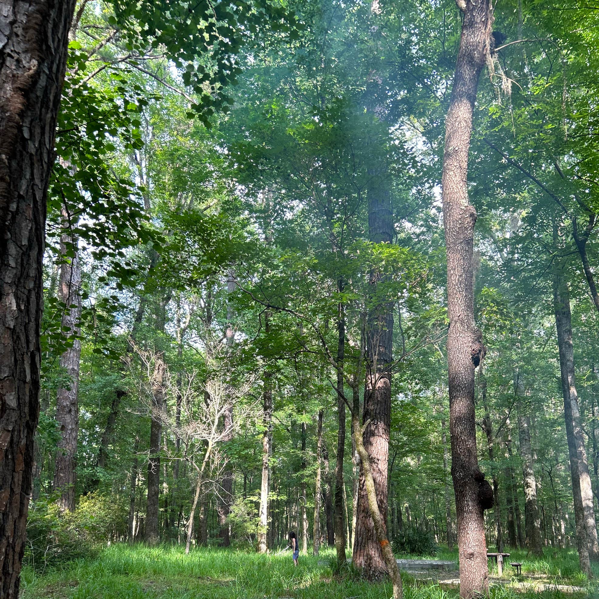 Military Park Fort Benning Uchee Creek Army Campground and Marina