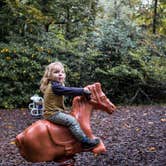 Review photo of Royal Oak Campground — Hungry Mother State Park by Stephanie J., October 24, 2018