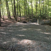 Review photo of Royal Oak Campground — Hungry Mother State Park by Stephanie J., October 24, 2018