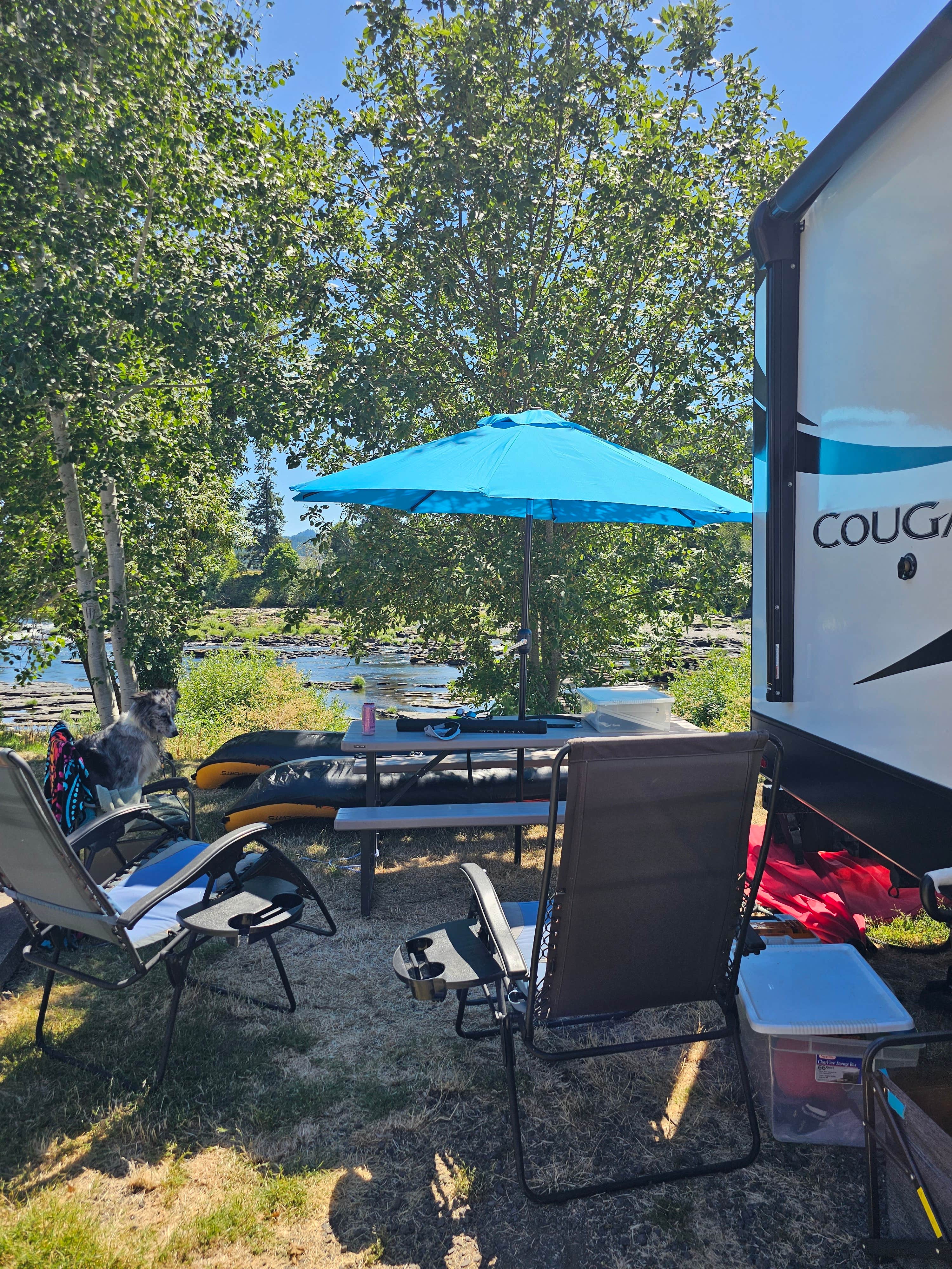 Camper-submitted photo at Elkton RV Park near Lorane, OR