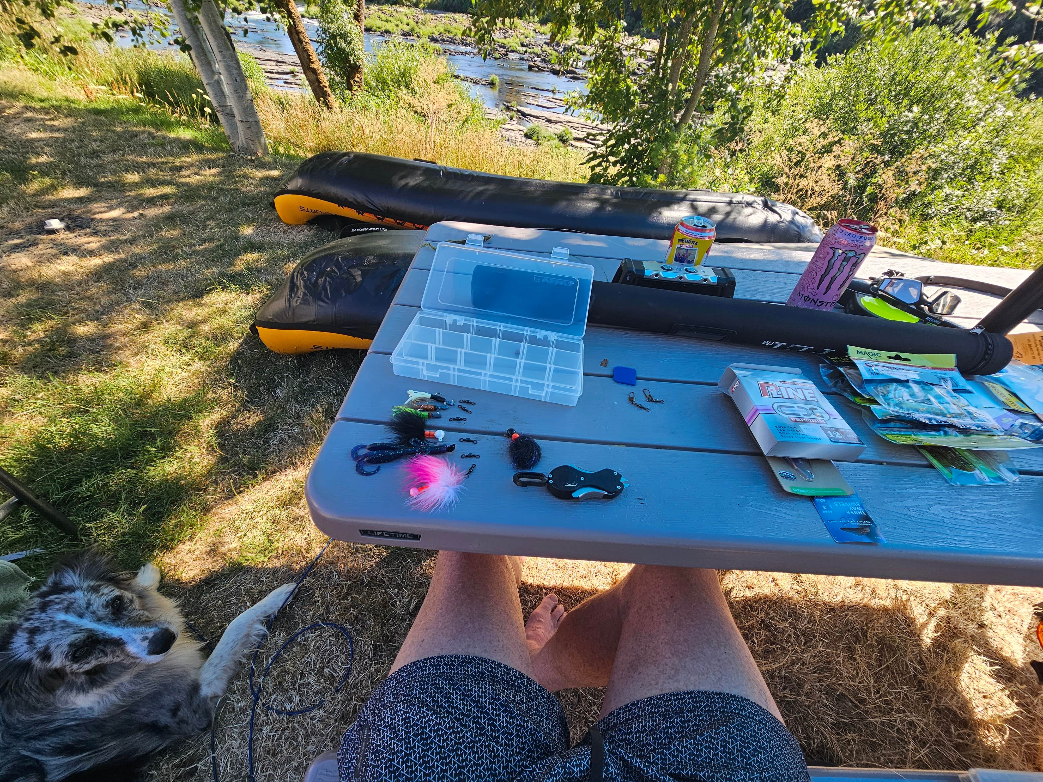 Camper-submitted photo at Elkton RV Park near Elkton, OR