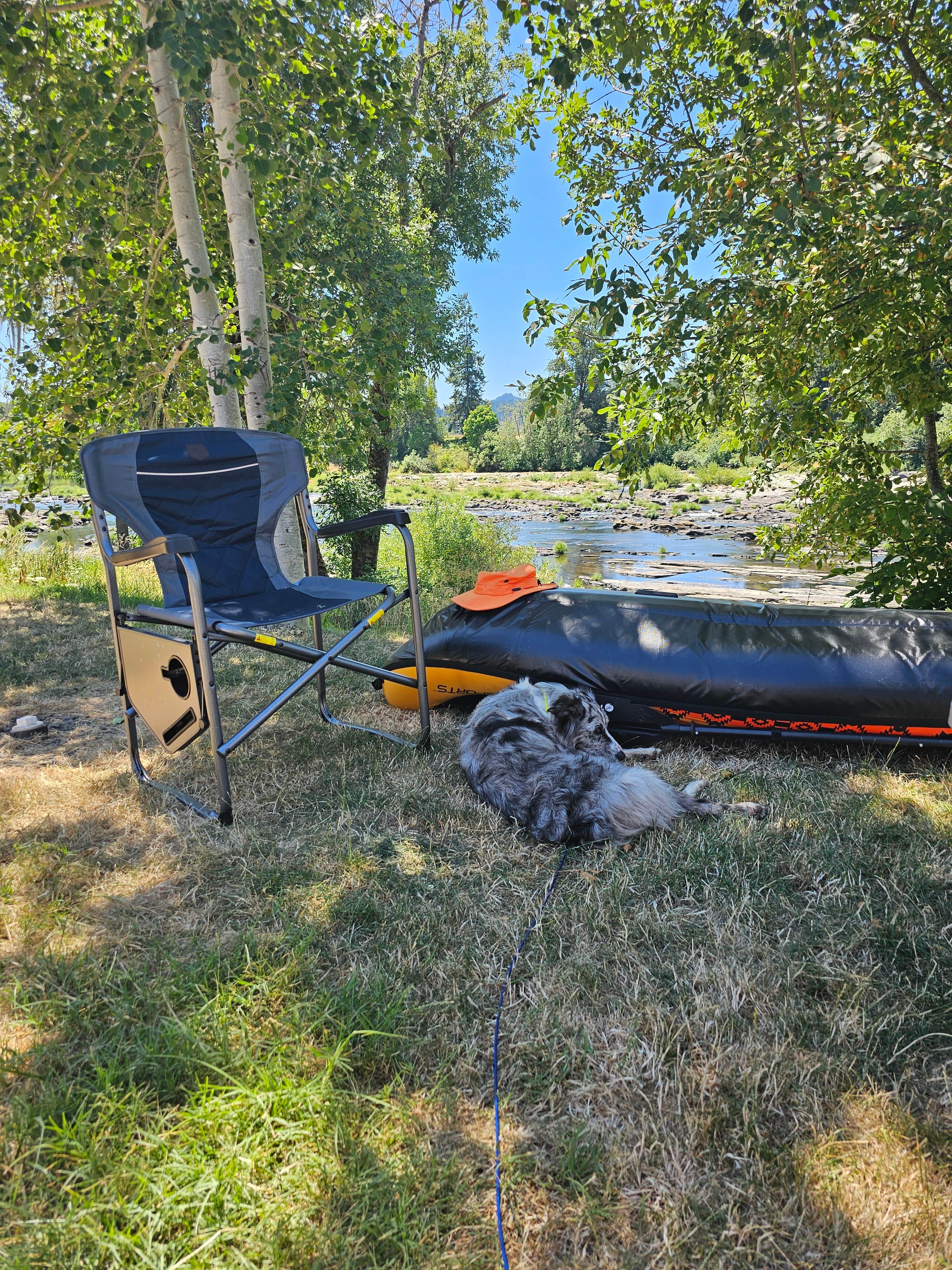 Cobus B.'s photo of camping with pets at Elkton RV Park near Veneta, OR