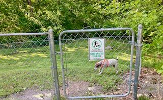MickandKarla W.'s photo of camping with pets at Outback RV Resort near Cadiz, KY