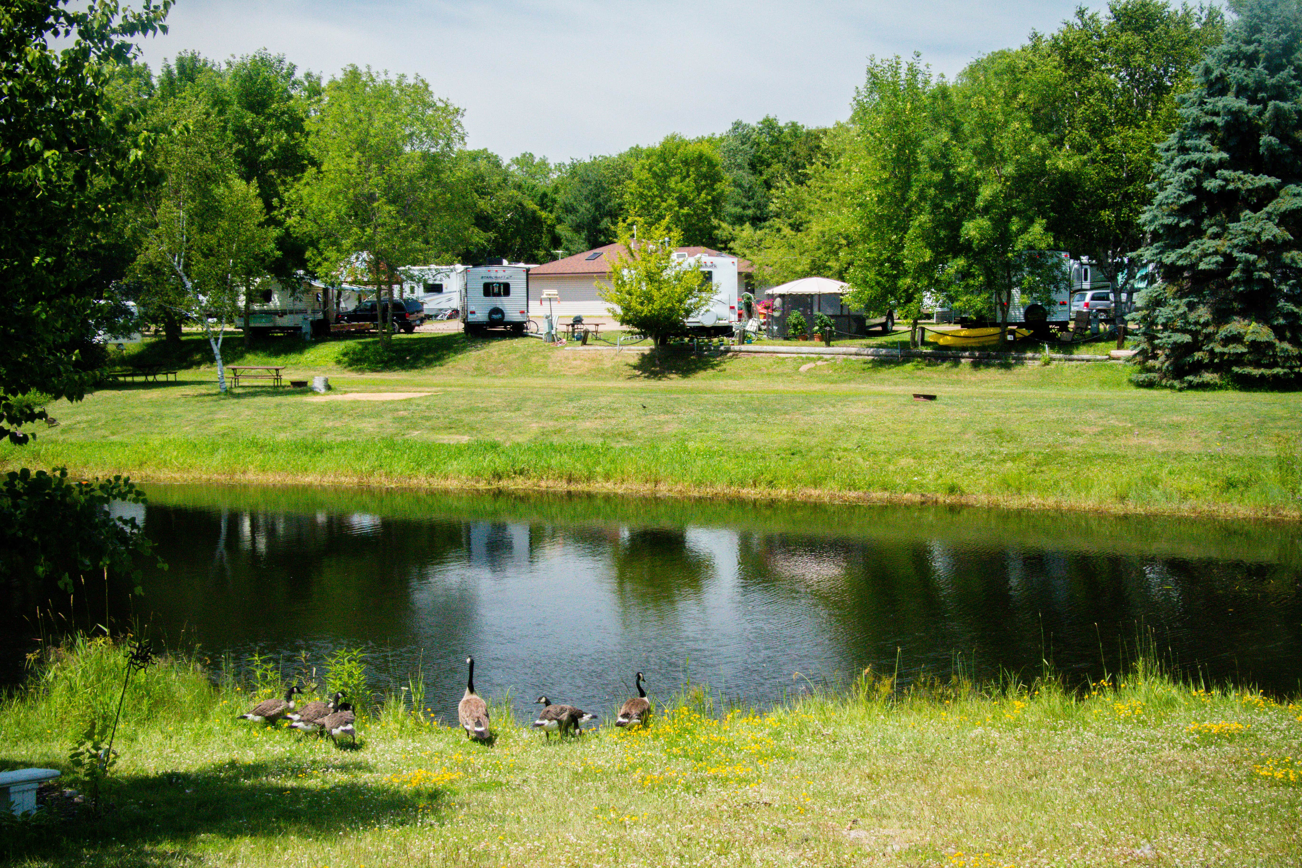 Camper-submitted photo at Ham Lake Resort near Lino Lakes, MN