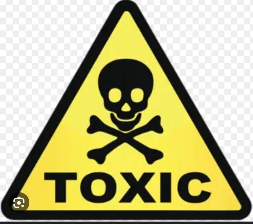 Camper-submitted photo at La Jolla Indian Campground near San Marcos, CA