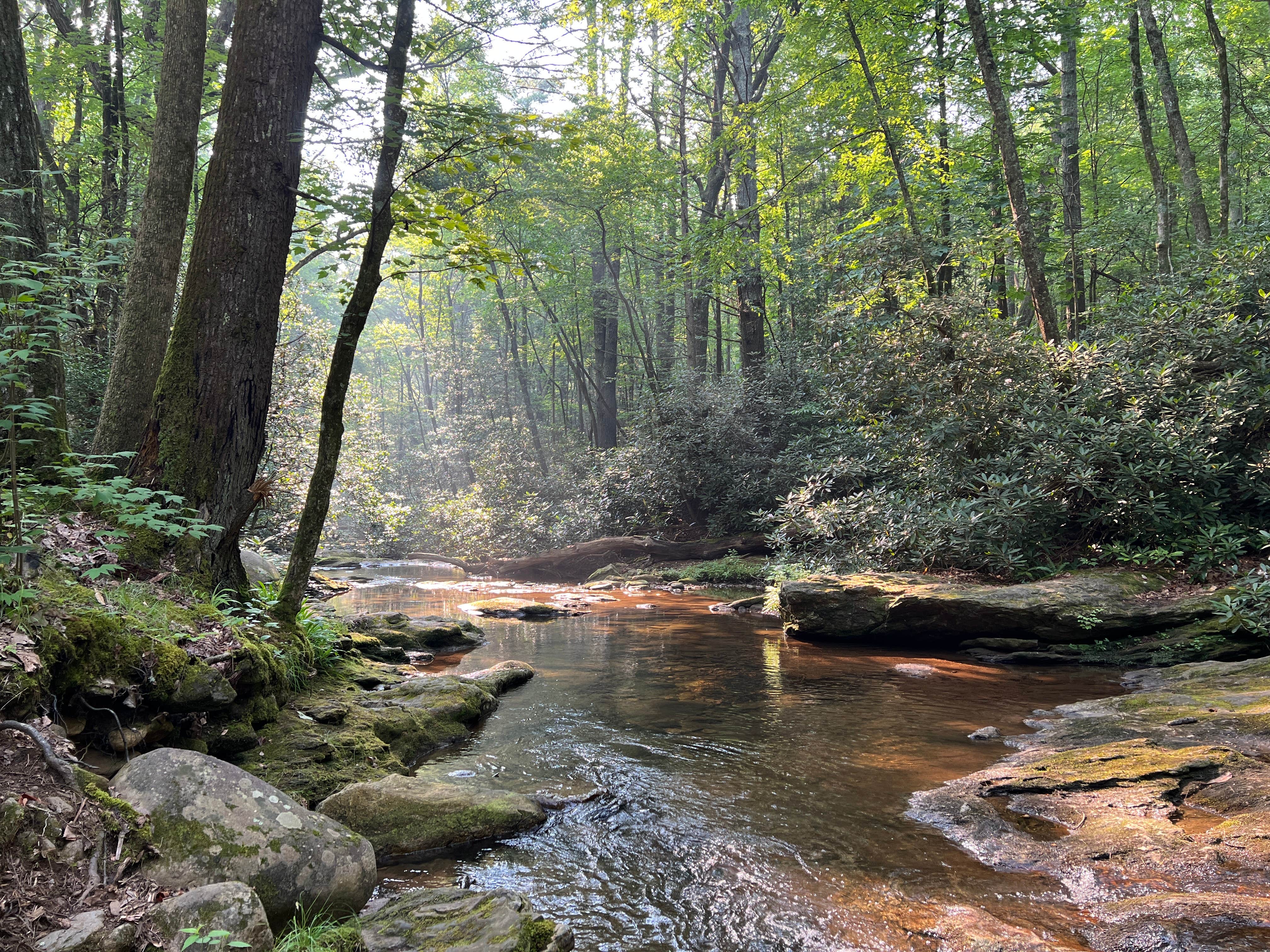 Camper-submitted photo at Little River Backcountry Campground — South Mountains State Park near Connelly Springs, NC