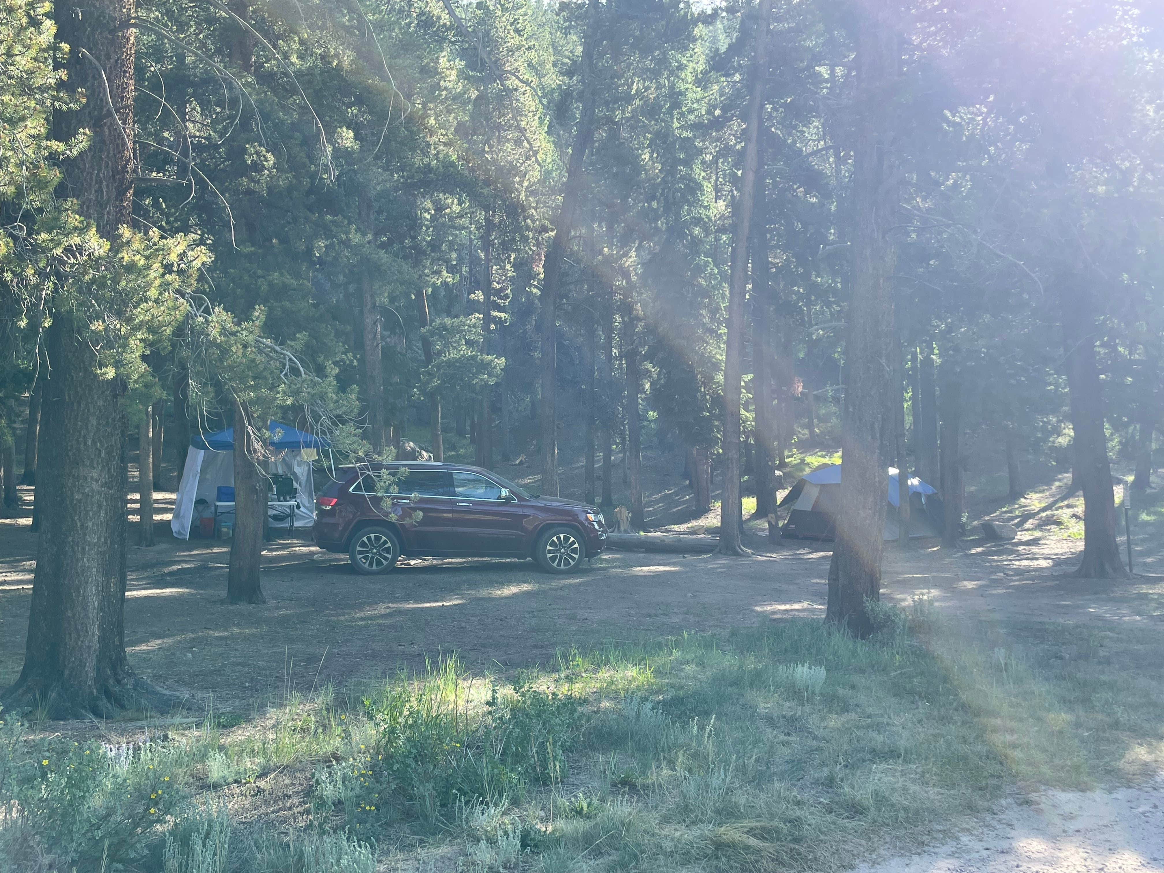 Camper-submitted photo at Bruno Gulch Dispersed near Conifer, CO