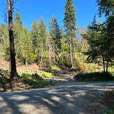 Review photo of South Hayes Gulch on Bottle Bay Road by Tee C., July 20, 2023