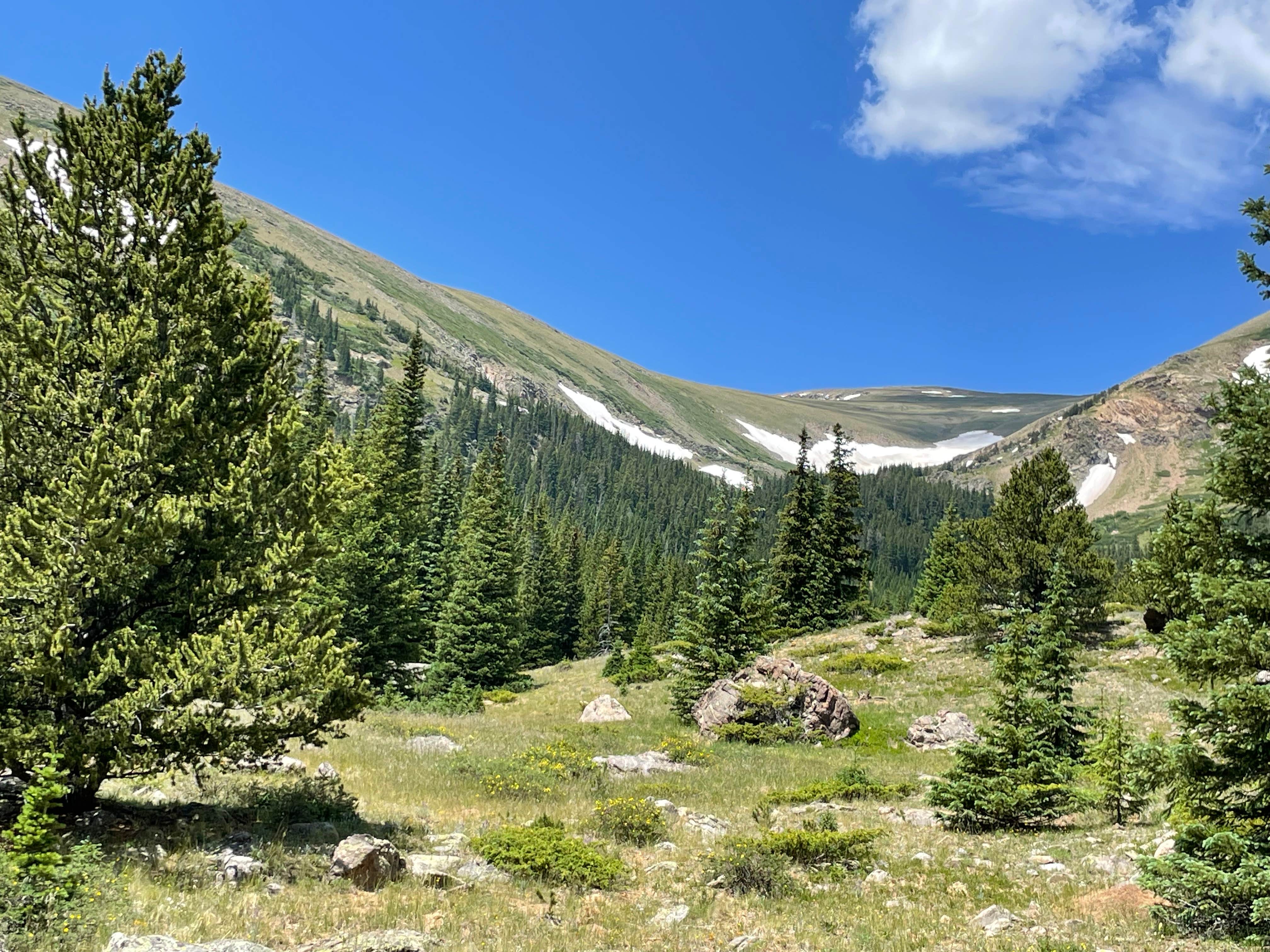 Kirby Gulch Camping Montezuma, CO