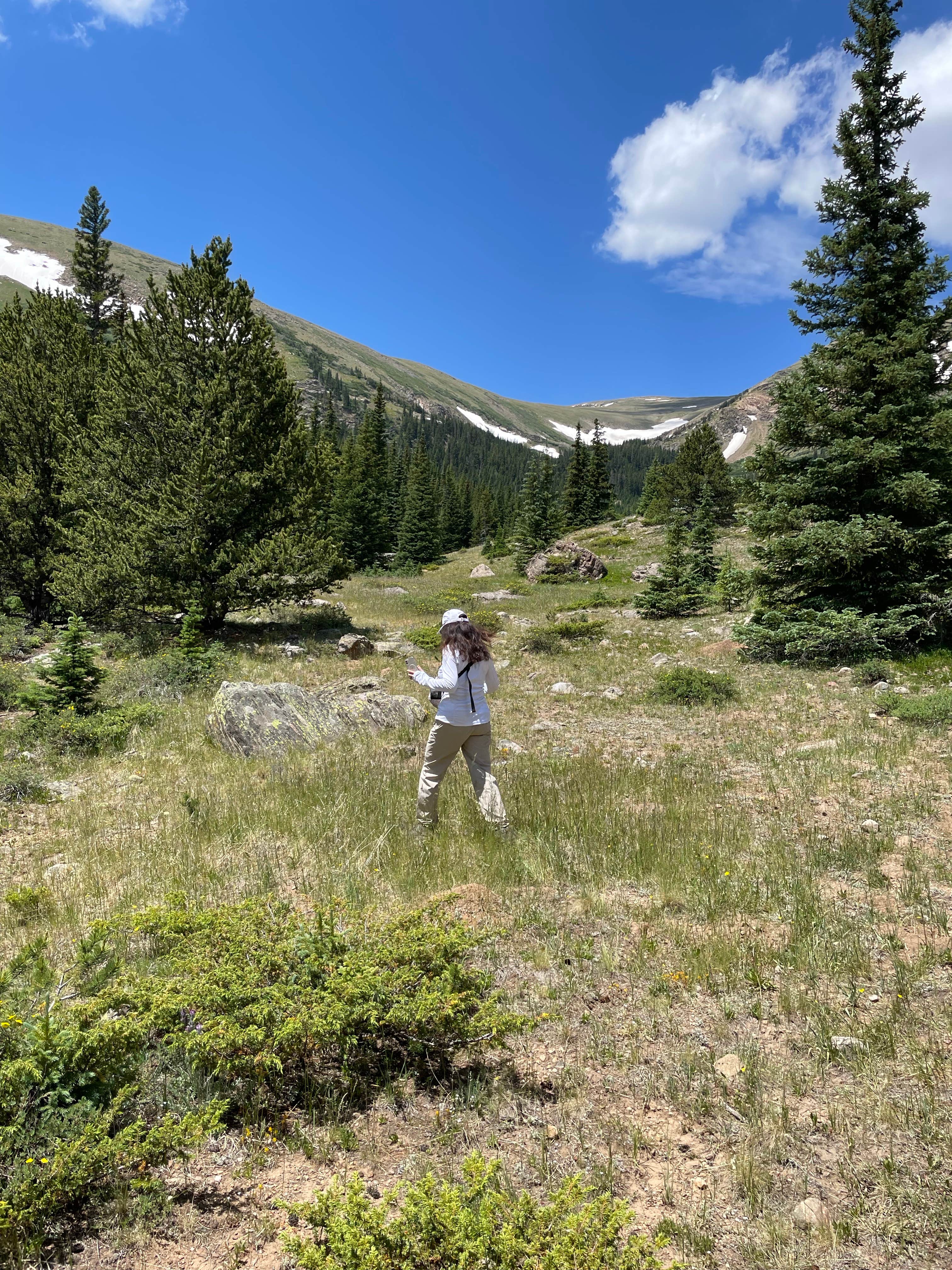 Camper submitted image from Kirby Gulch - 5