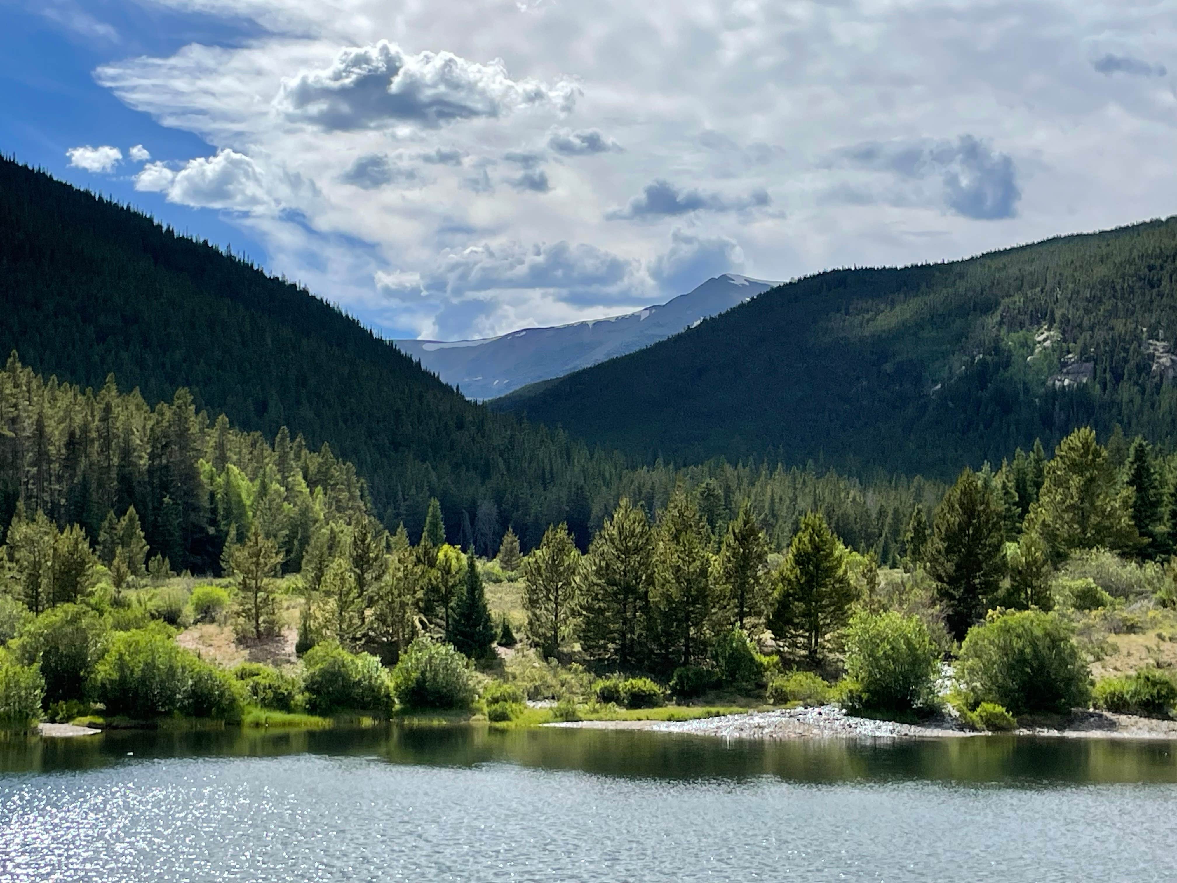 Chris P.'s photo of a dispersed camping area at Kirby Gulch near Bailey, CO