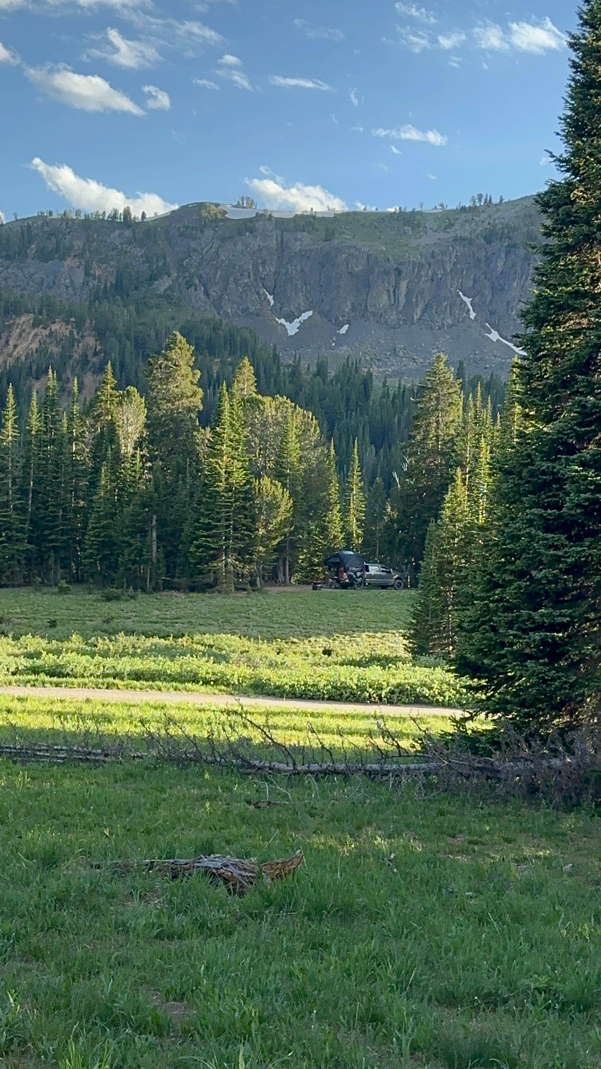 Camper-submitted photo at Lady of the Lake Trail on Lulu Pass near Cooke City, MT