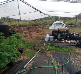 Camper-submitted photo from Hotbox'n Hawaii