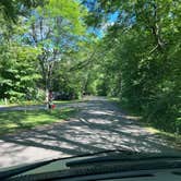 Review photo of Lake Kegonsa State Park Campground by Art S., July 20, 2023