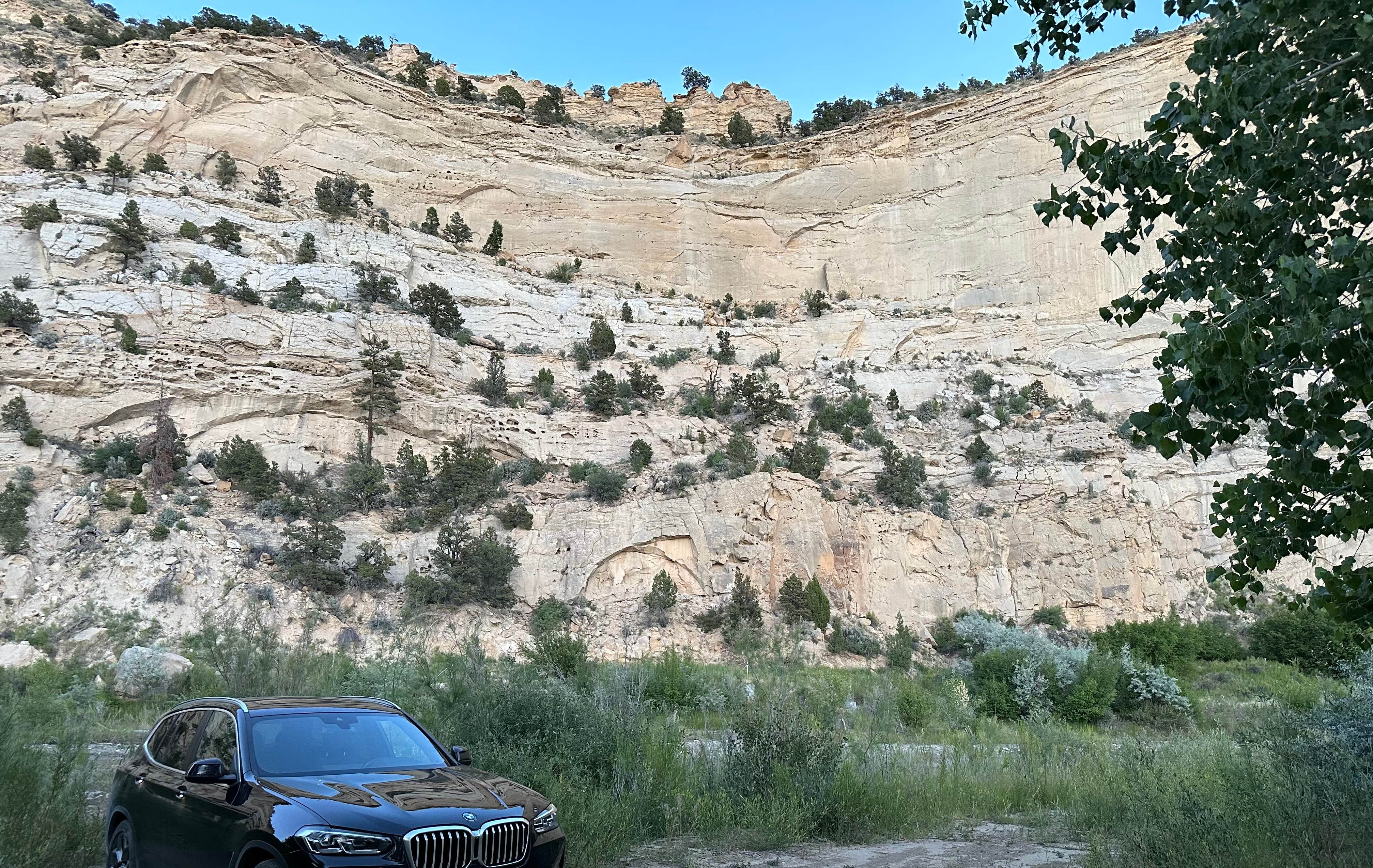 Camper-submitted photo at Henrieville Creek - Grand Staircase Nat Mon near Escalante, UT