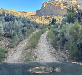 Camper-submitted photo from Henrieville Creek - Grand Staircase Nat Mon
