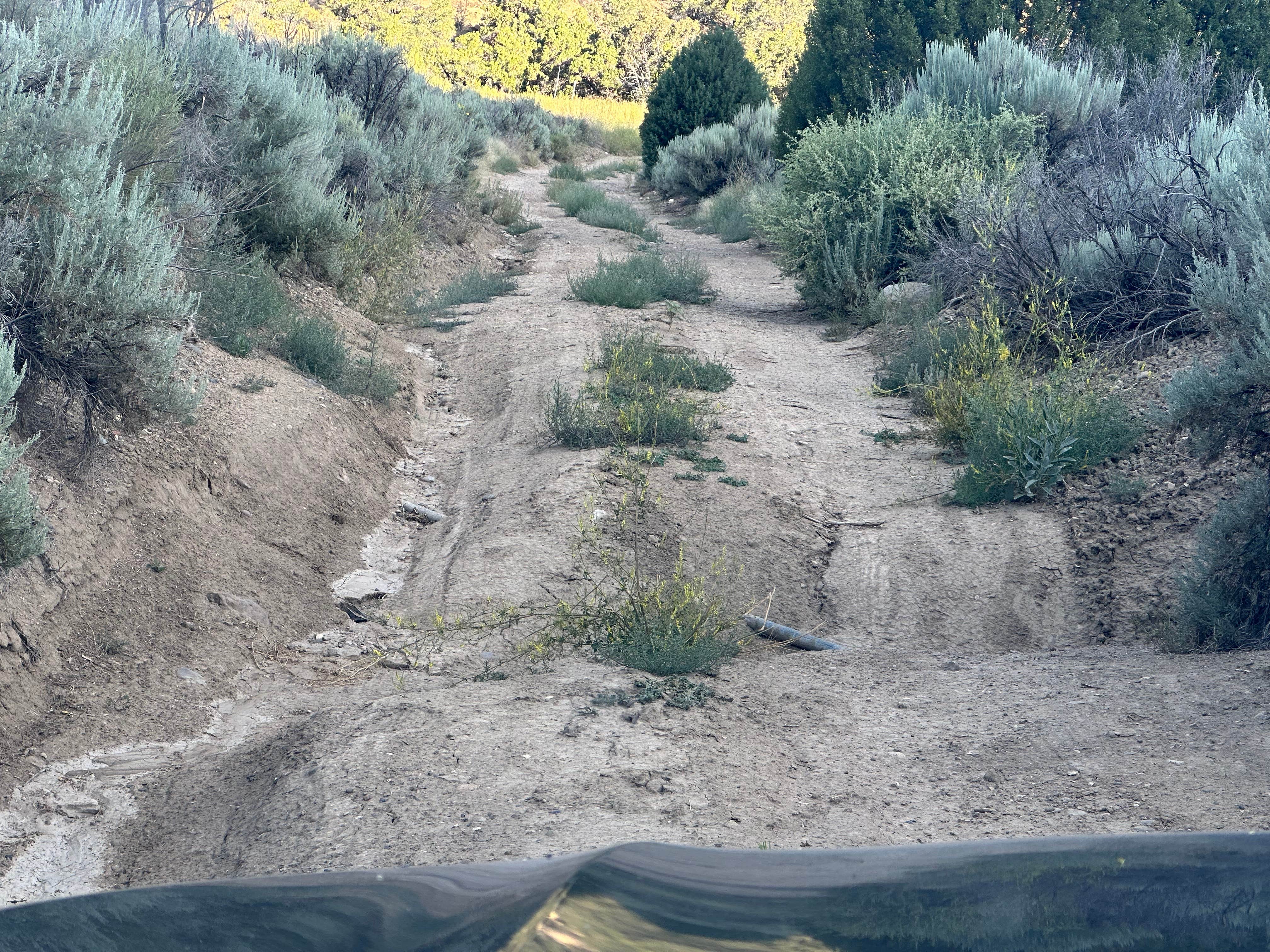 Camper-submitted photo at Henrieville Creek - Grand Staircase Nat Mon near Escalante, UT