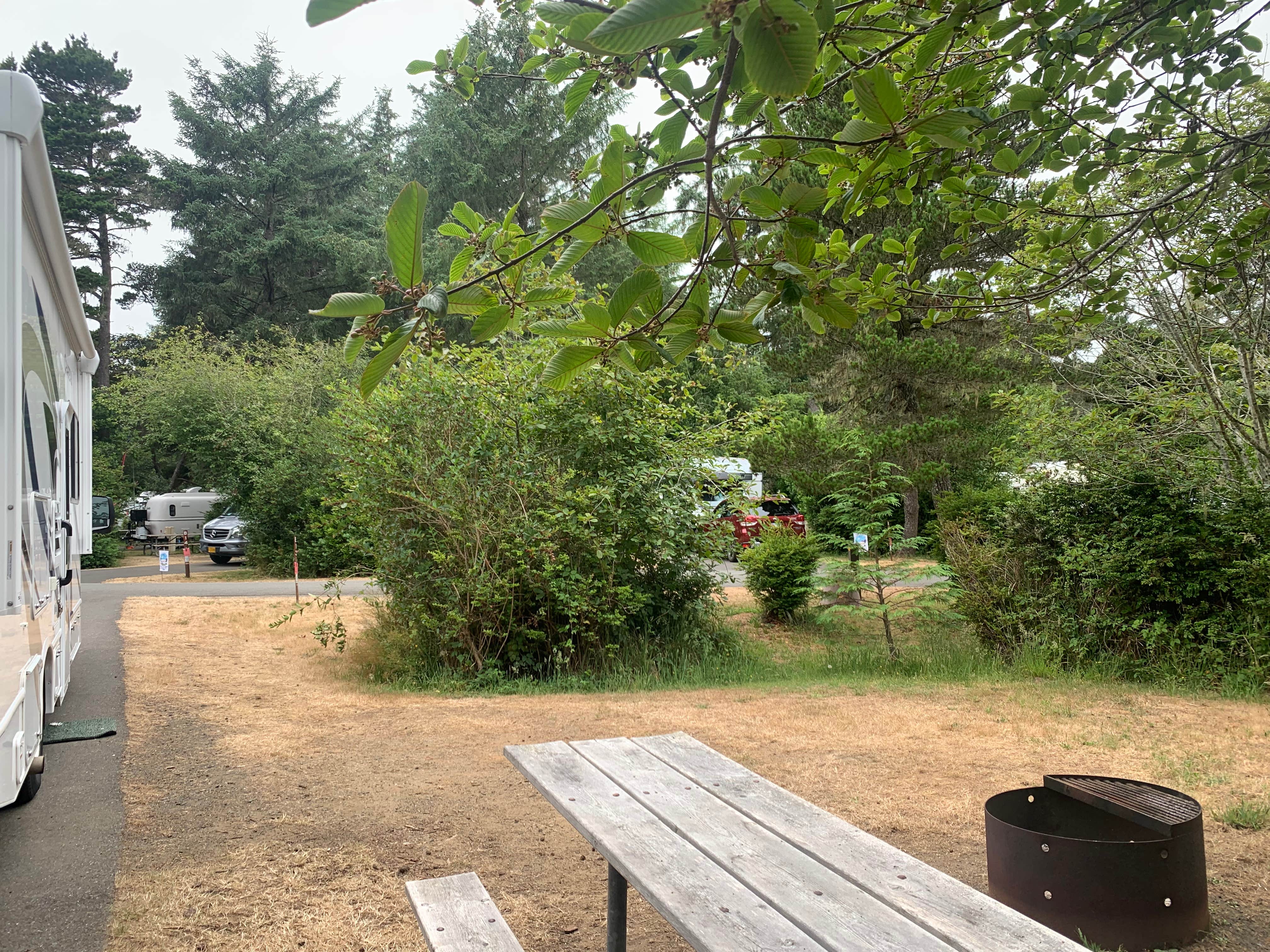 Jennifer H.'s photo at Bullards Beach State Park Campground near Bandon, OR