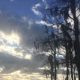 Review photo of Fontainebleau State Park Campground by Sam M., October 24, 2018