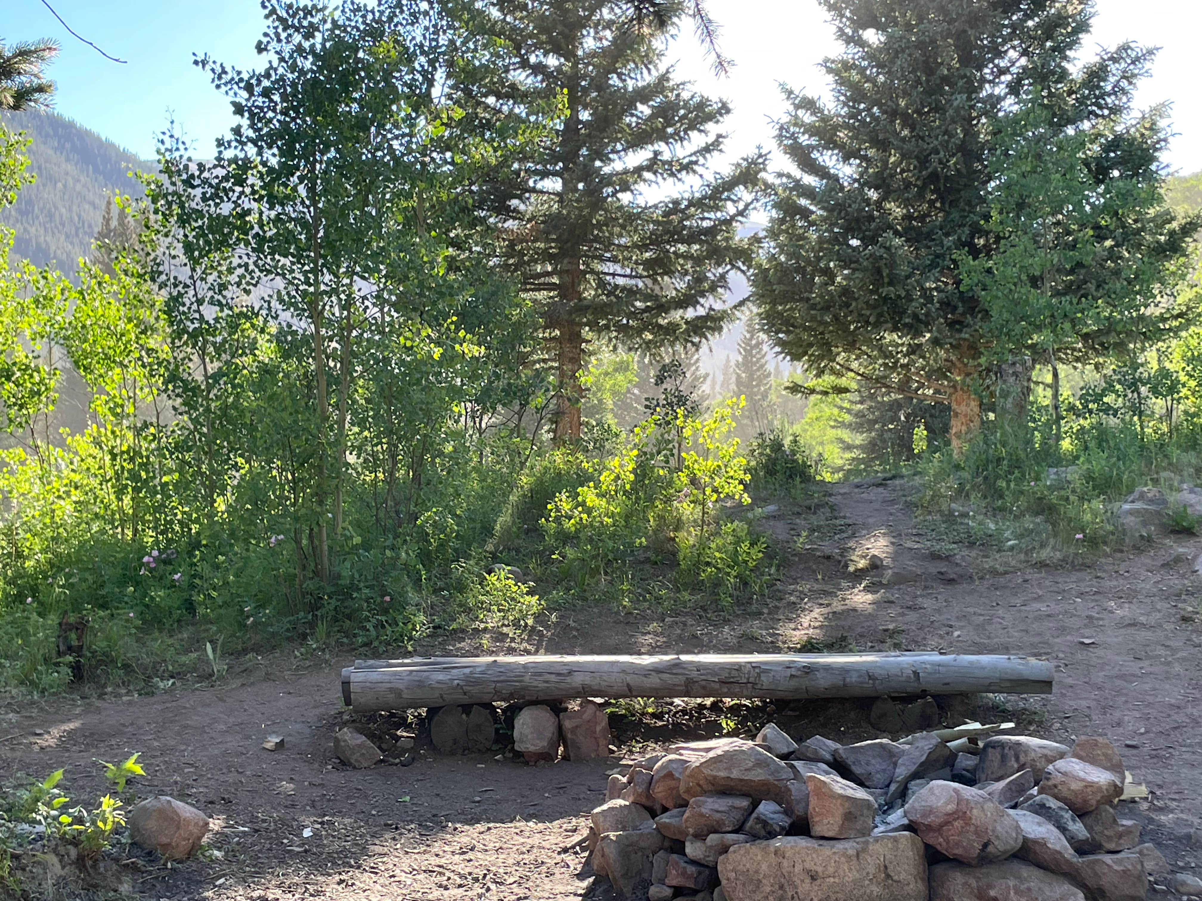 Camper submitted image from Sawmill Gulch - 2