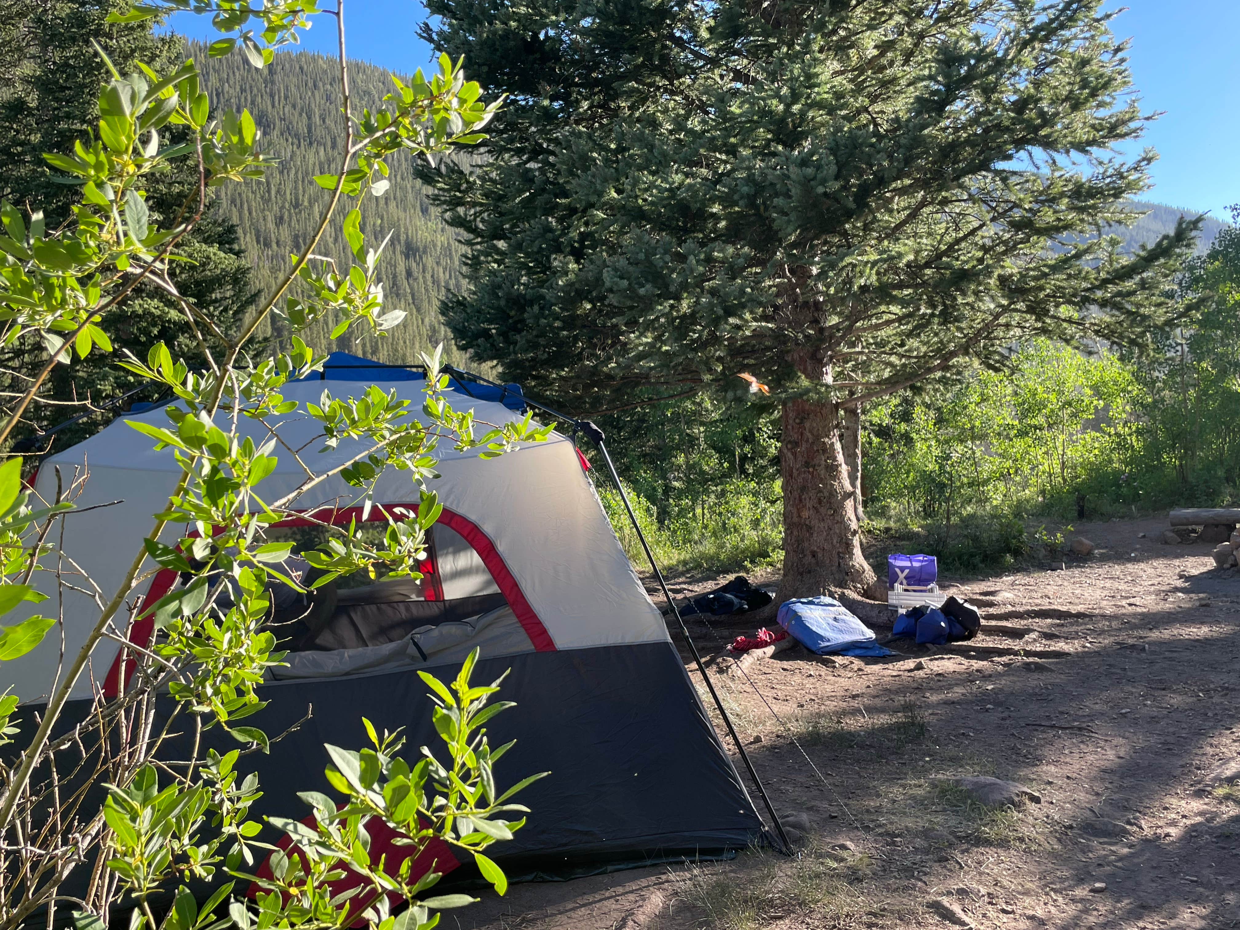 Chris P.'s photo of a dispersed camping area at Sawmill Gulch near Conifer, CO