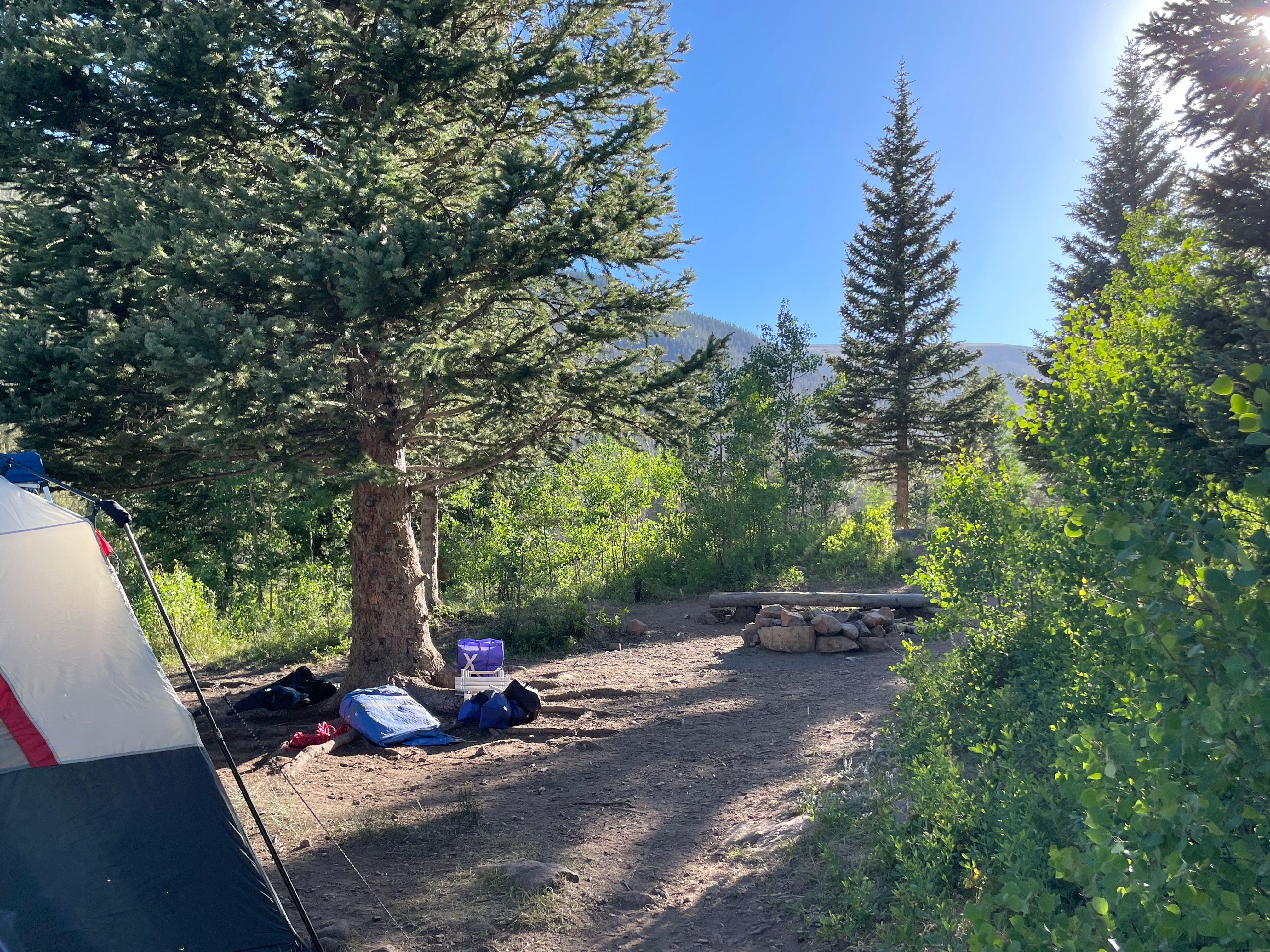 Camper submitted image from Sawmill Gulch - 4