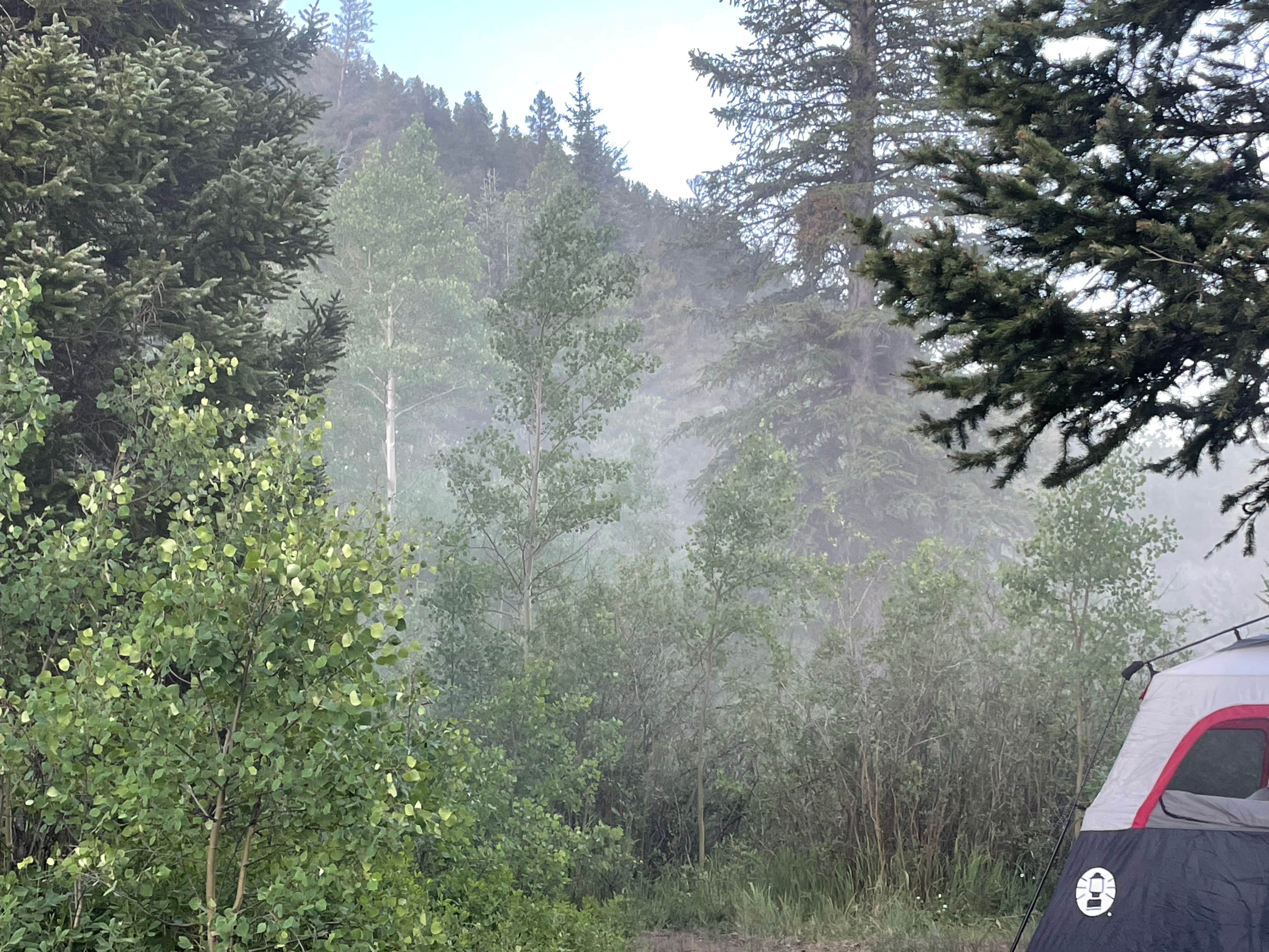 Camper-submitted photo at Sawmill Gulch near Grant, CO