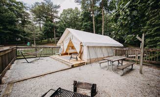 The Dyrt's photo at Timberline Glamping At Amicalola Falls near Chattahoochee-Oconee National Forest