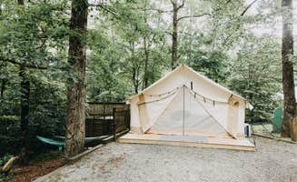 The Dyrt's photo at Timberline Glamping At Amicalola Falls near Nelson, GA