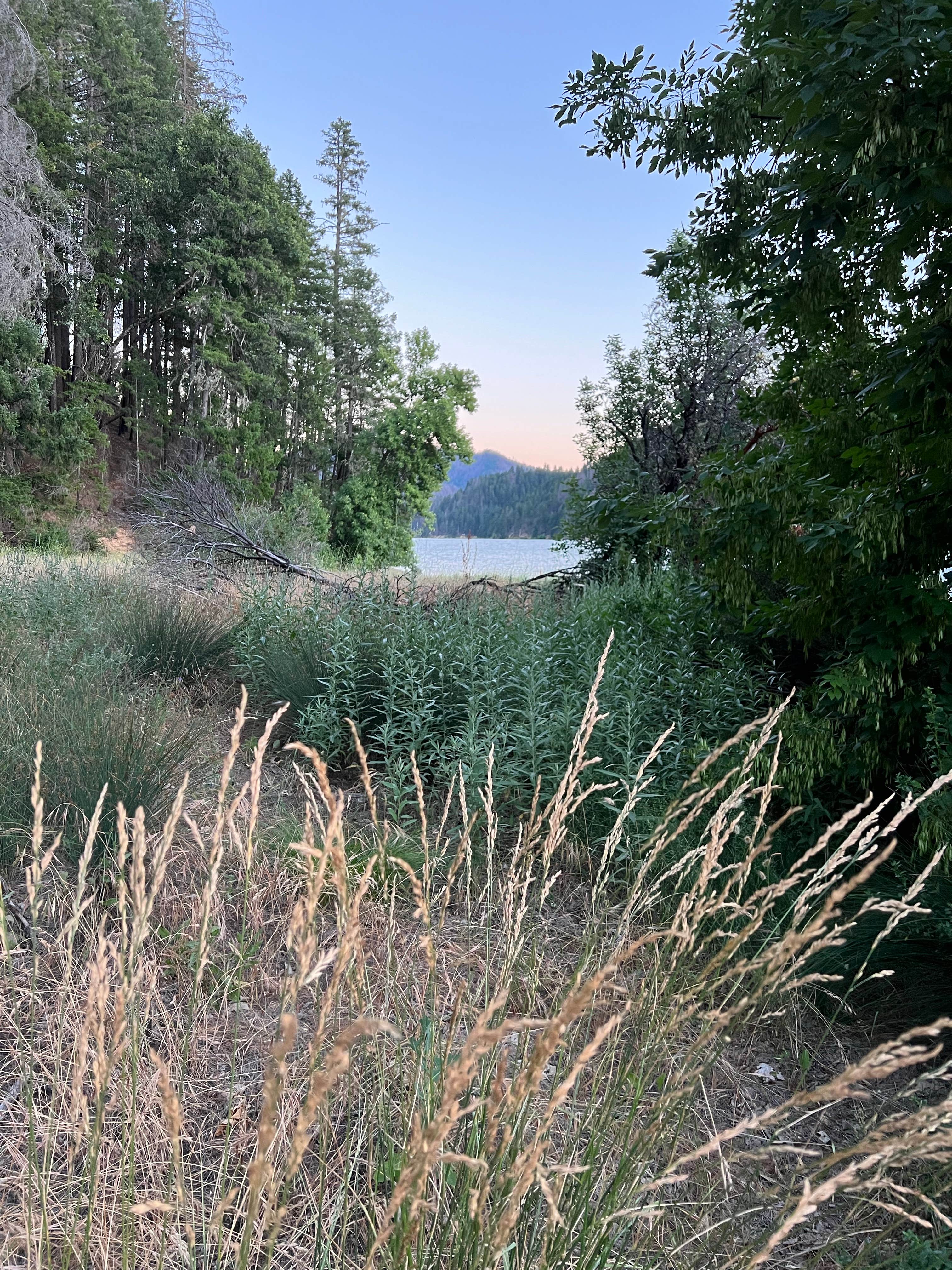 Camper-submitted photo at Bailey Canyon Campground near Weott, CA